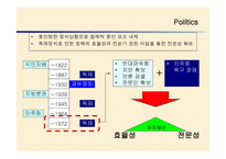 브라질 외환위기 정책 -4