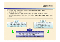 브라질 외환위기 정책 -6