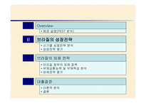 브라질 외환위기 정책 -8