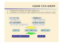 브라질 외환위기 정책 -9