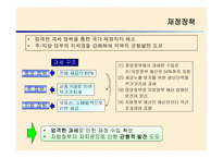 브라질 외환위기 정책 -11