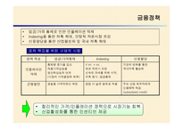 브라질 외환위기 정책 -12