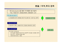브라질 외환위기 정책 -13