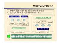 브라질 외환위기 정책 -14
