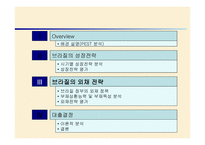 브라질 외환위기 정책 -15