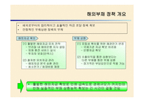 브라질 외환위기 정책 -16
