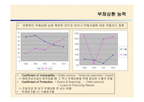 브라질 외환위기 정책 -17