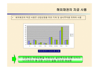 브라질 외환위기 정책 -18