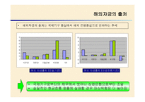 브라질 외환위기 정책 -19