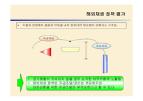 브라질 외환위기 정책 -20