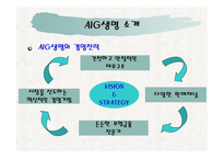 AIG생명데코마스 사례분석 -6