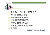 삼성 애니콜의 STP 전략 -2