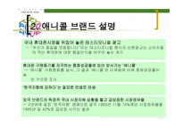 삼성 애니콜의 STP 전략 -5