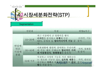 삼성 애니콜의 STP 전략 -15