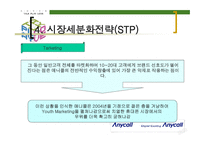 삼성 애니콜의 STP 전략 -17
