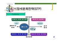 삼성 애니콜의 STP 전략 -18