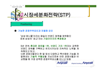 삼성 애니콜의 STP 전략 -19