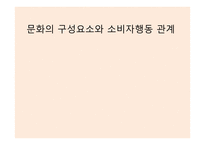 문화의 구성요소와 소비자행동 관계 -1