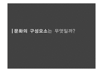 문화의 구성요소와 소비자행동 관계 -3