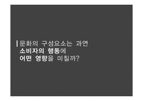 문화의 구성요소와 소비자행동 관계 -5