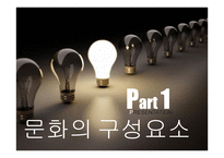 문화의 구성요소와 소비자행동 영향관계 -3