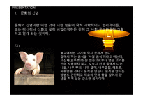 문화의 구성요소와 소비자행동 영향관계 -4