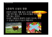 문화의 구성요소와 소비자행동 영향관계 -8