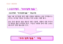 STP-쿠쿠홈시스 CI-금호아시아나 -16