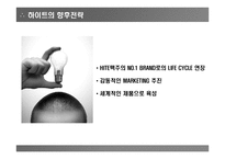하이트 맥주 - 마케팅 조사 -14