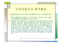 마케팅 원론 - DECOMAS 사례 Green Marketing 사례 Symbiotic Marketing 사례 -13