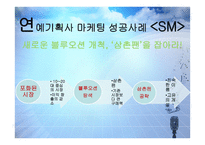 연예기획사 마케팅 성공사례 - jyp, sm -16