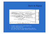 Davis 와 Rigaux 모델에 따른 부부간의 구매결정 -14