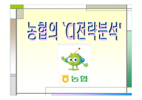 마케팅 STP전략 (미녀와 야수) DECOMAS (축협) -2