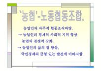 마케팅 STP전략 (미녀와 야수) DECOMAS (축협) -5