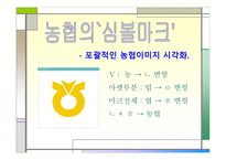 마케팅 STP전략 (미녀와 야수) DECOMAS (축협) -6