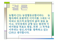 마케팅 STP전략 (미녀와 야수) DECOMAS (축협) -11