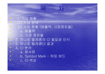 마케팅원론 하나로텔레콤의 DECOMAS사례 -2
