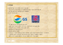 타워팰리스 STP 전략과 GS그룹 CI -11