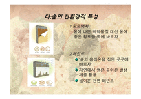 그린마케팅(Green Marketing) 대동건설(다 숲) -12
