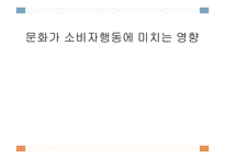 문화가 소비자행동에 미치는 영향 -1