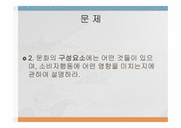 문화가 소비자행동에 미치는 영향 -2
