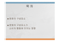 문화가 소비자행동에 미치는 영향 -3