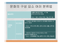 문화가 소비자행동에 미치는 영향 -4