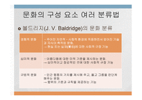 문화가 소비자행동에 미치는 영향 -5