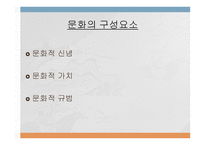 문화가 소비자행동에 미치는 영향 -6