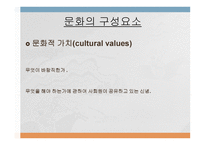 문화가 소비자행동에 미치는 영향 -8