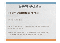 문화가 소비자행동에 미치는 영향 -9
