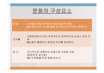 문화가 소비자행동에 미치는 영향 -10