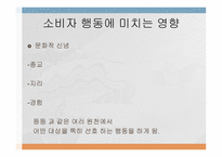 문화가 소비자행동에 미치는 영향 -11
