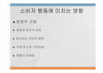 문화가 소비자행동에 미치는 영향 -16